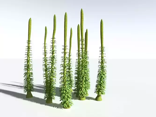 EVERYPlant Chaloneria Cormosa -18 Models- 3D model