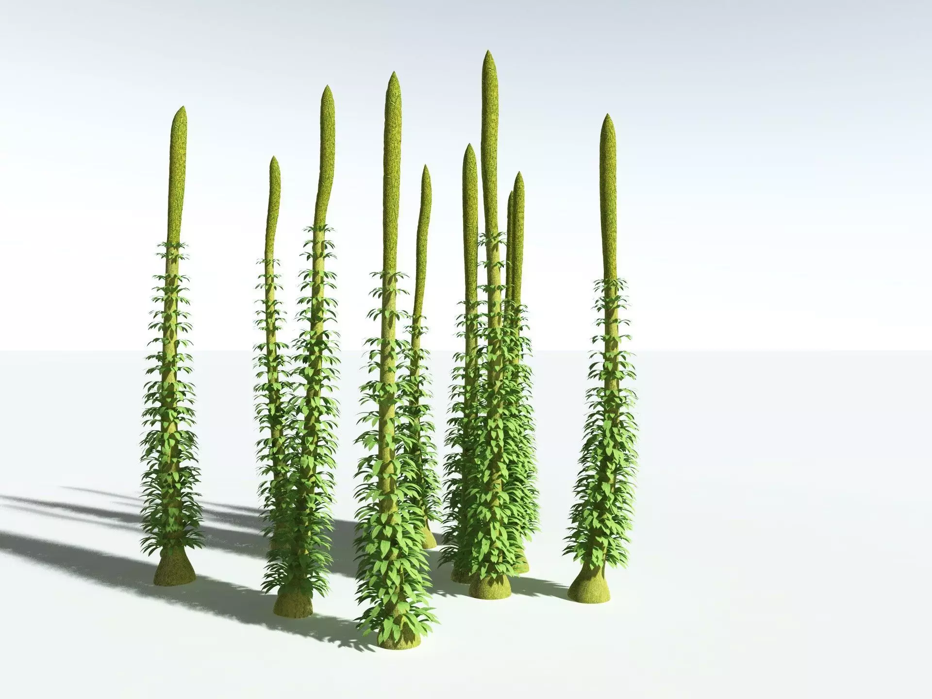 EVERYPlant Chaloneria Cormosa 3D model_10