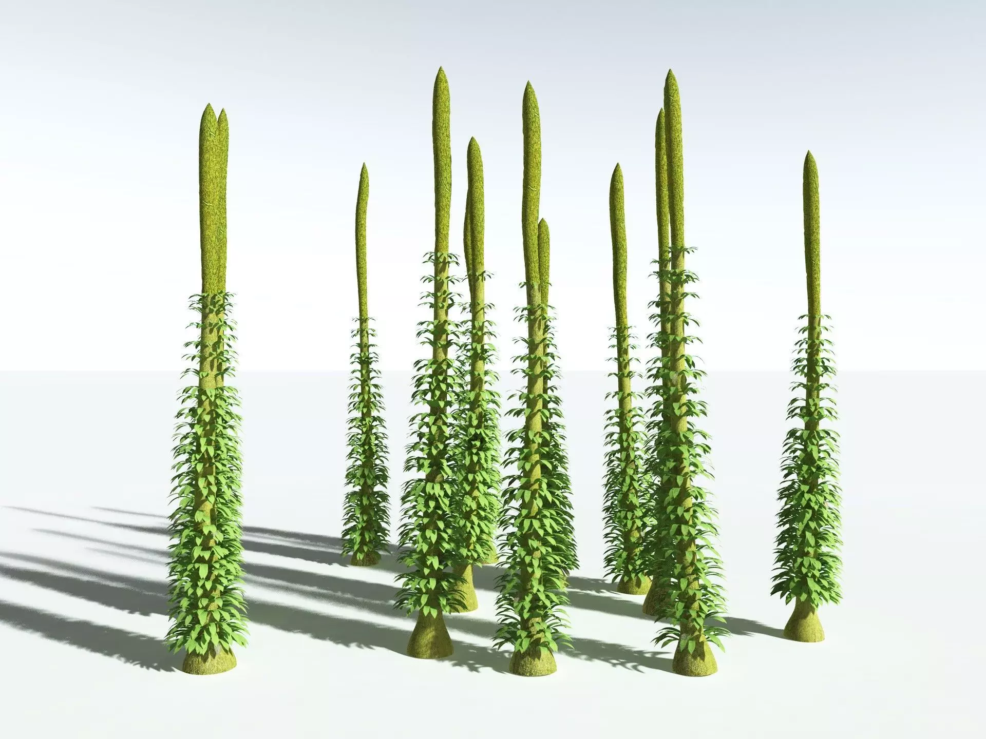 EVERYPlant Chaloneria Cormosa 3D model_8