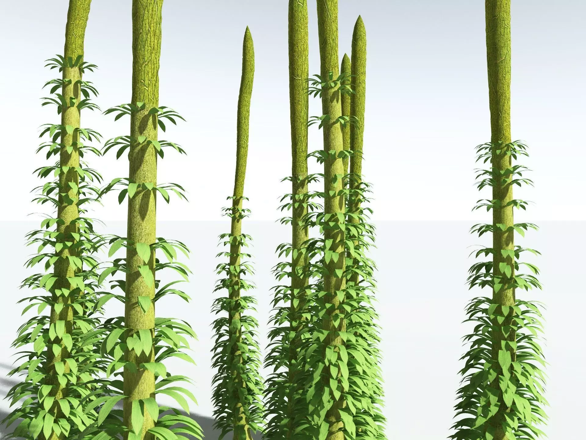 EVERYPlant Chaloneria Cormosa 3D model_11