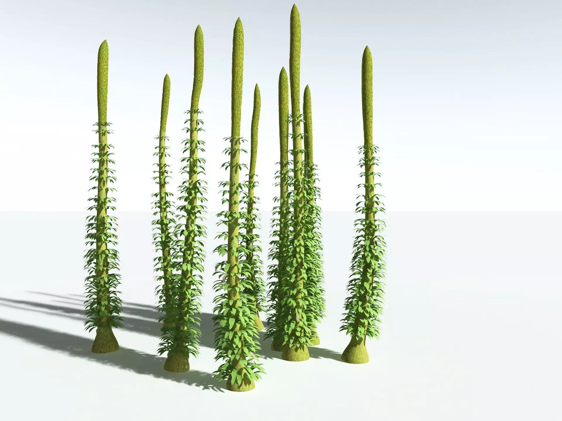 EVERYPlant Chaloneria Cormosa 3D model_20