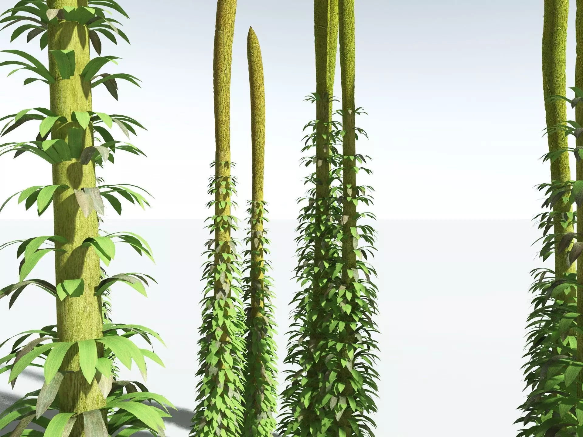 EVERYPlant Chaloneria Cormosa 3D model_13