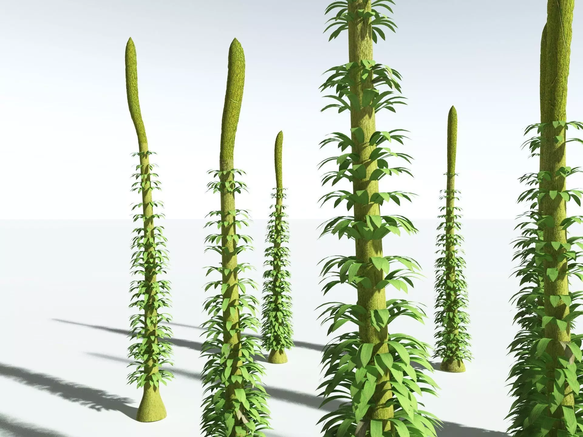 EVERYPlant Chaloneria Cormosa 3D model_35