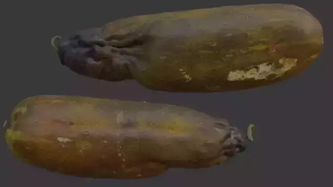  Rotten Papaya Scan Low-poly 3D model