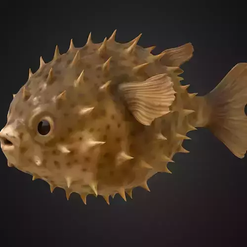 Puffy Delight - Stylized 3D Cartoon Pufferfish 3D model