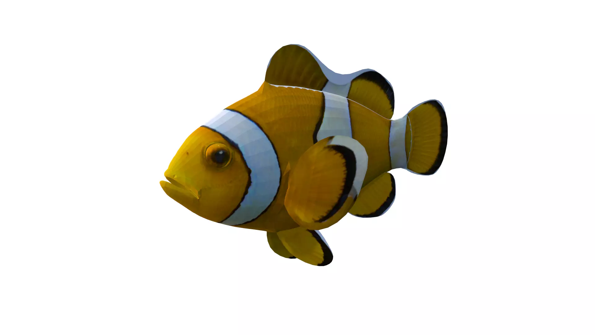Realistic Clown Fish 3D Model Low-poly 3D model