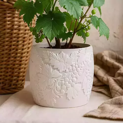 Grape Plant Pot with Drainage No Supports Needed