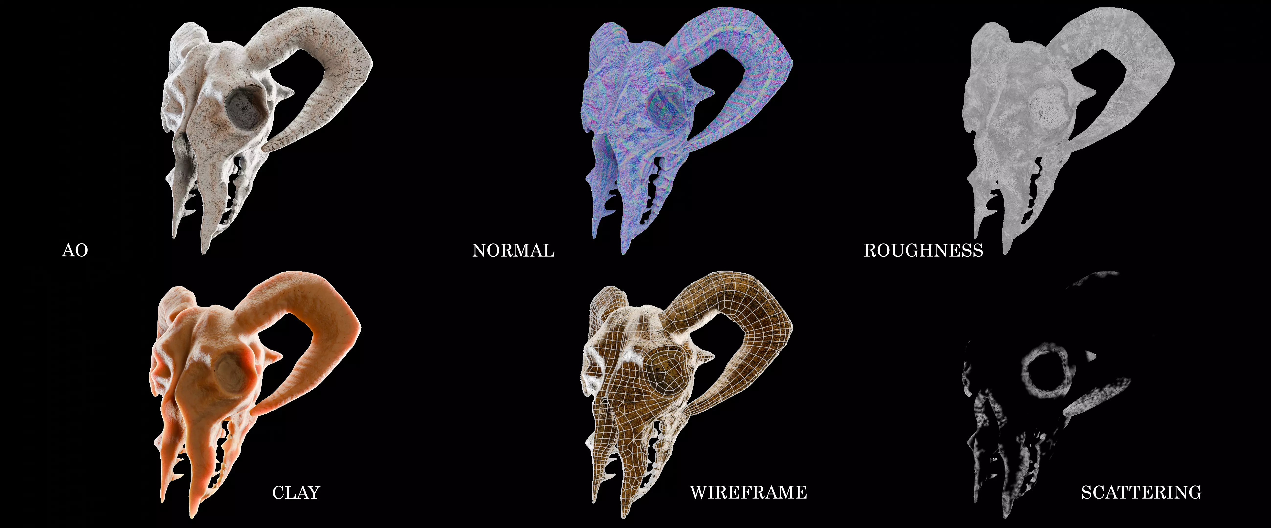 3D Ram Skull  Game and Movie Ready Asset Low-poly 3D model_10