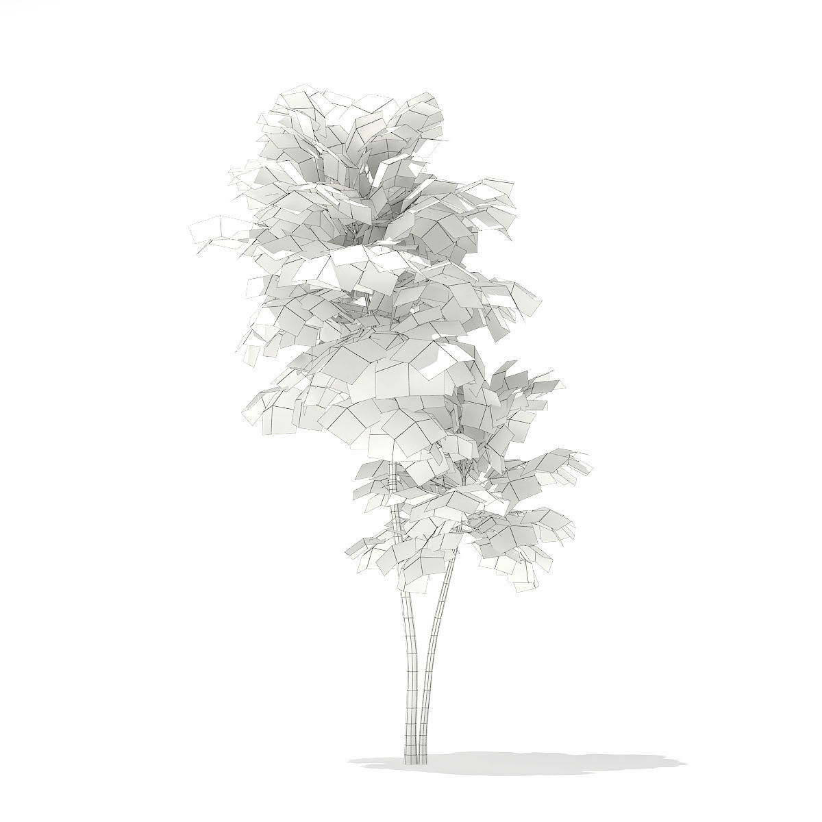 Pedunculate Oak Quercus Robur 3D model_1