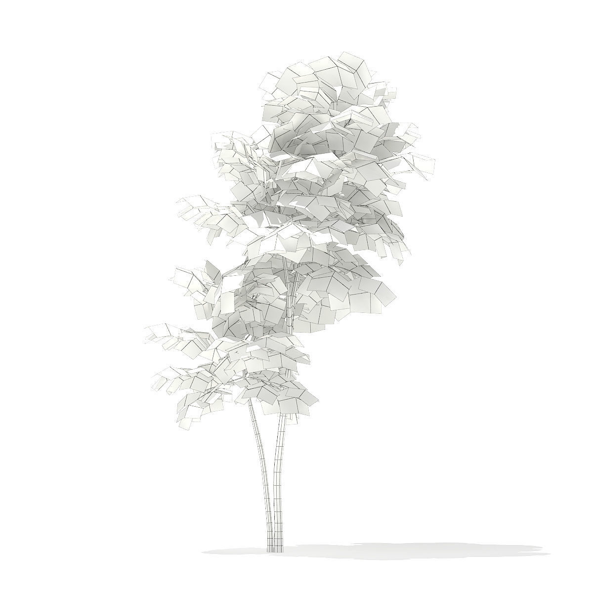 Pedunculate Oak Quercus Robur 3D model_3