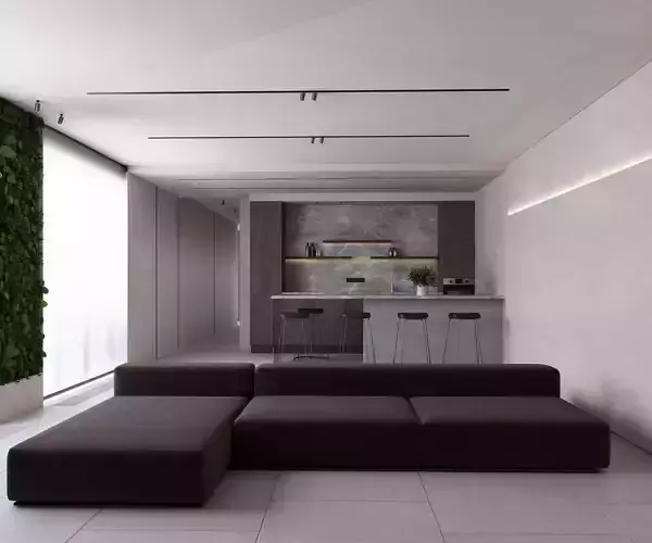 Minimal Kitchen and Living Room Interior 