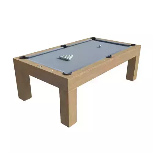 PAULA PARSONS POOL TABLE 3D model