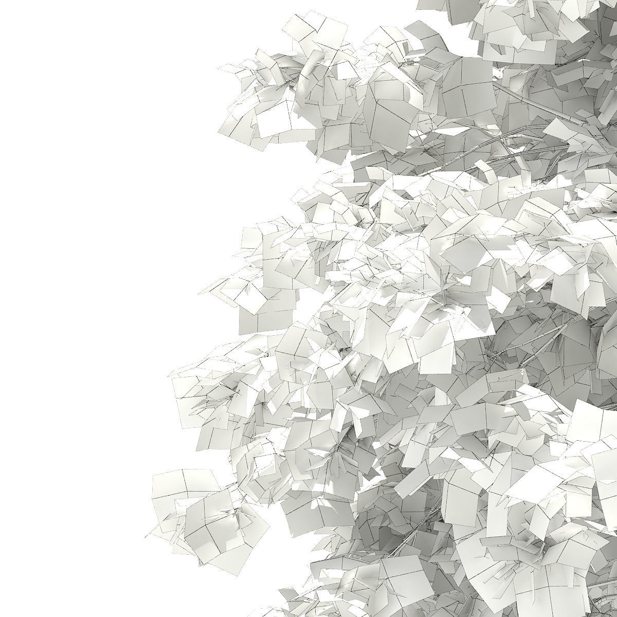 Pedunculate Oak Quercus Robur 7m 3D model_5