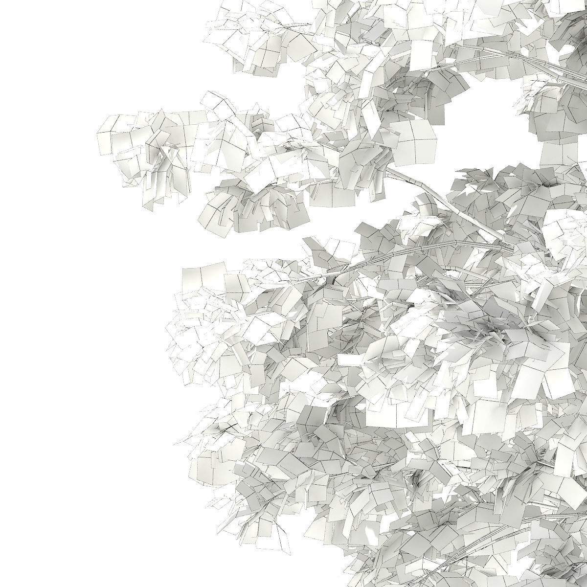 Pedunculate Oak Quercus Robur 9m 3D model_7