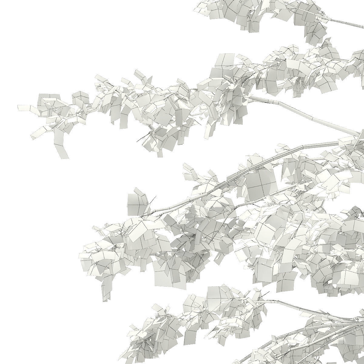 Pedunculate Oak Quercus Robur 15m 3D model_7