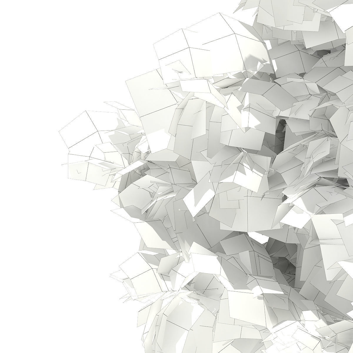 Horse Chestnut Aesculus hippocastanum 4m 3D model_7