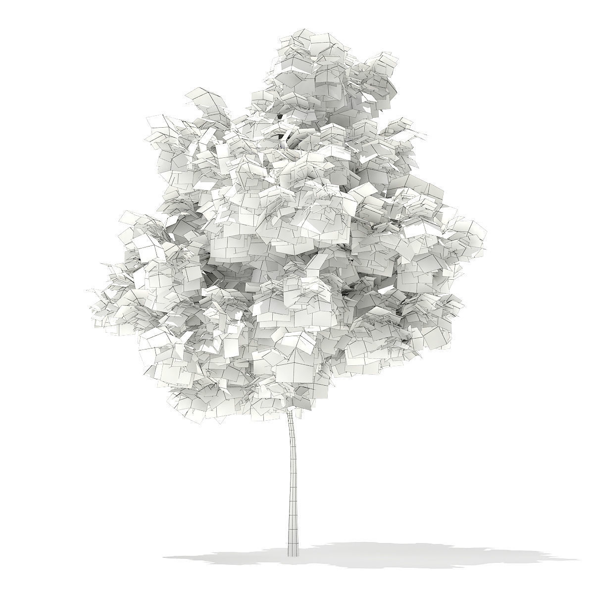 Horse Chestnut Aesculus hippocastanum 4m 3D model_3