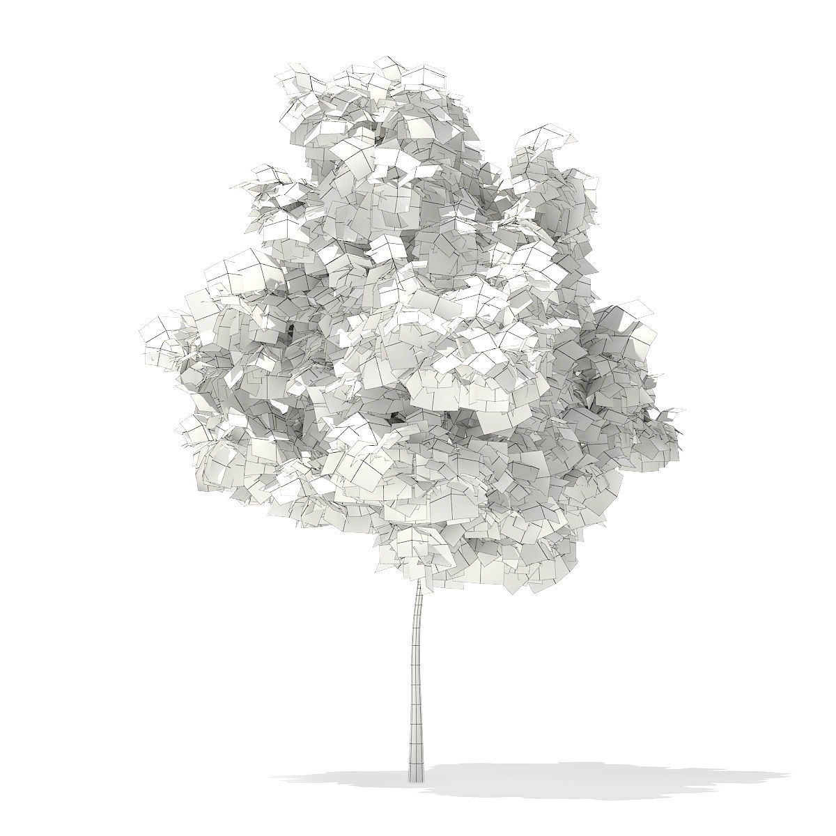 Horse Chestnut Aesculus hippocastanum 4m 3D model_1