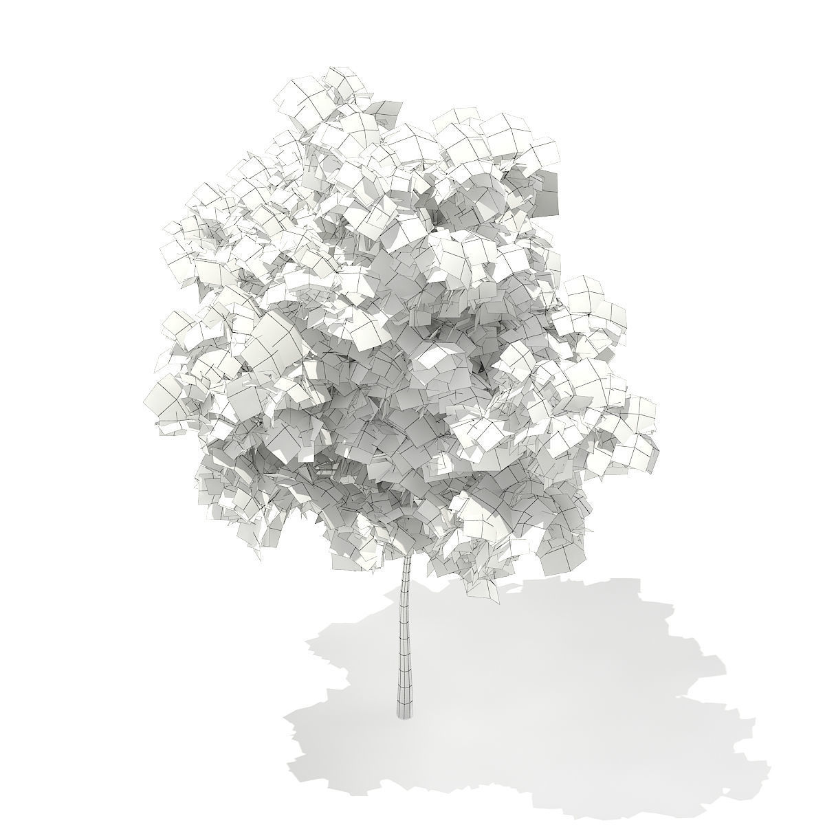 Horse Chestnut Aesculus hippocastanum 4m 3D model_5