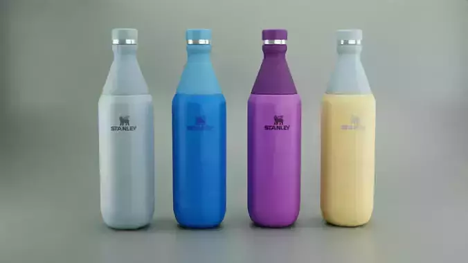ll Day Slim Insulated Water Bottle