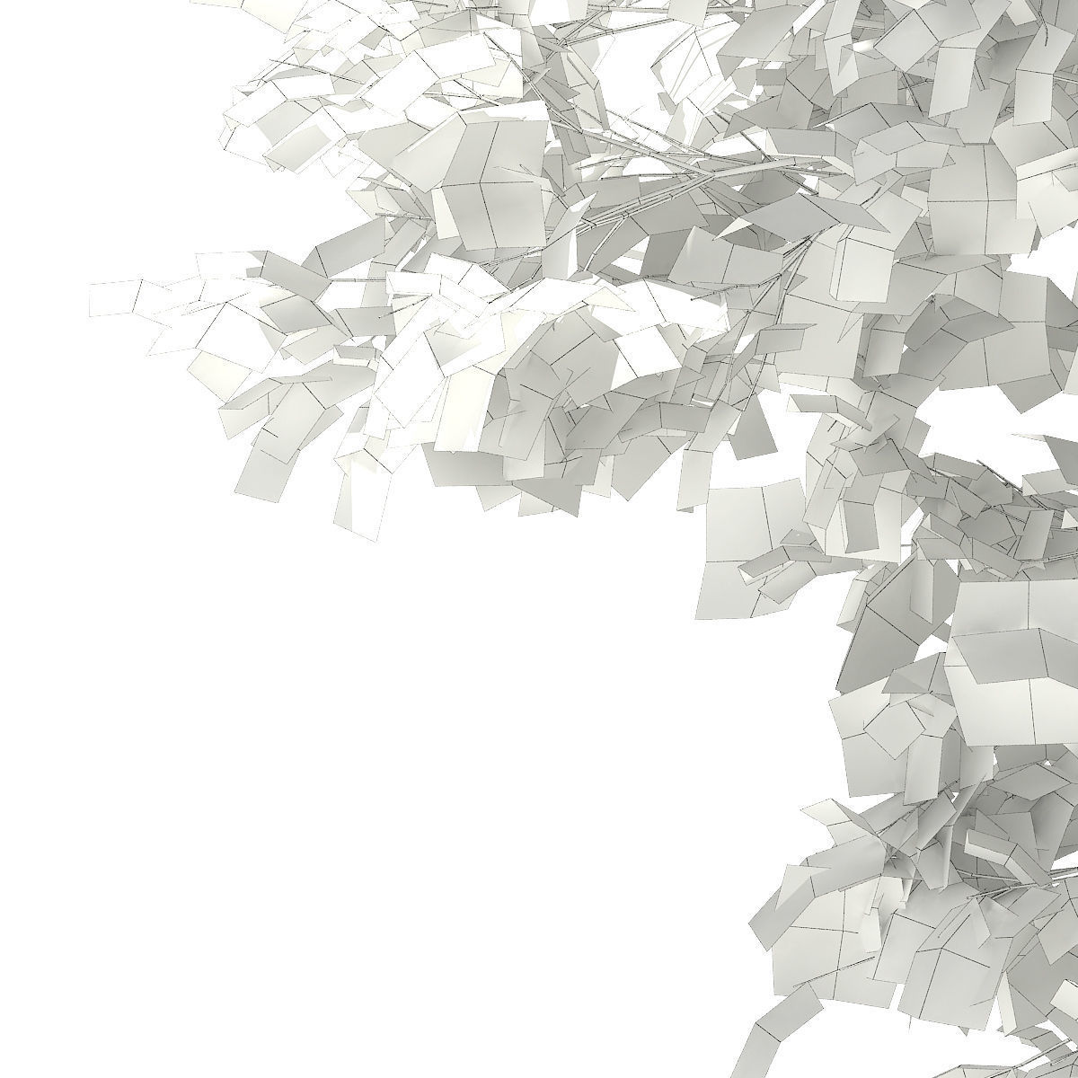 Horse Chestnut Aesculus hippocastanum 23m 3D model_7