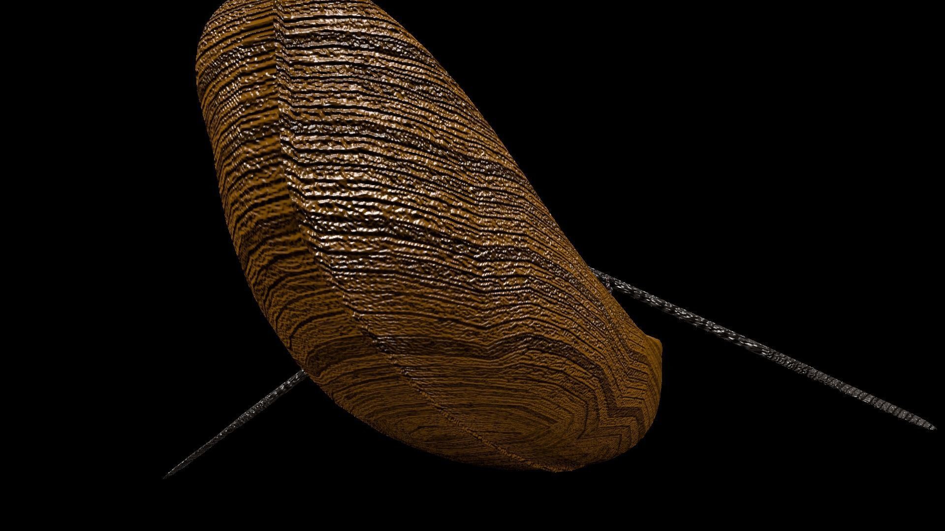 Old Rowboat Low-poly 3D model_2