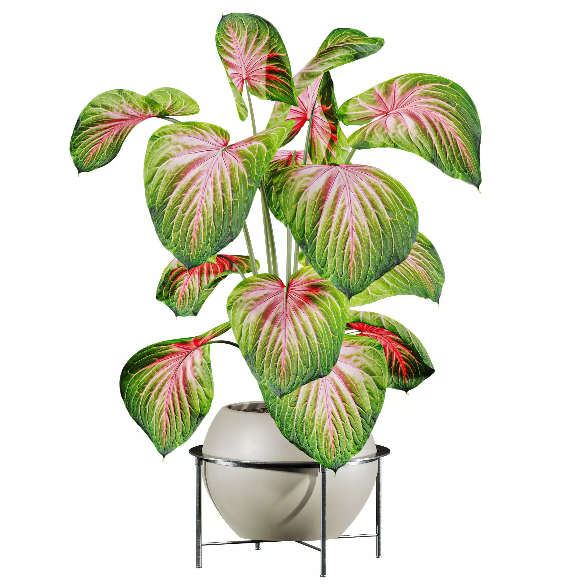 potted plant 3D model