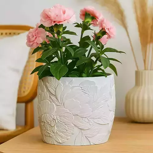 Peony Plant Pot with Drainage No Supports Needed