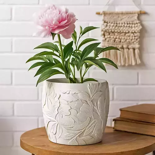 Peony Plant Pot with Drainage No Supports