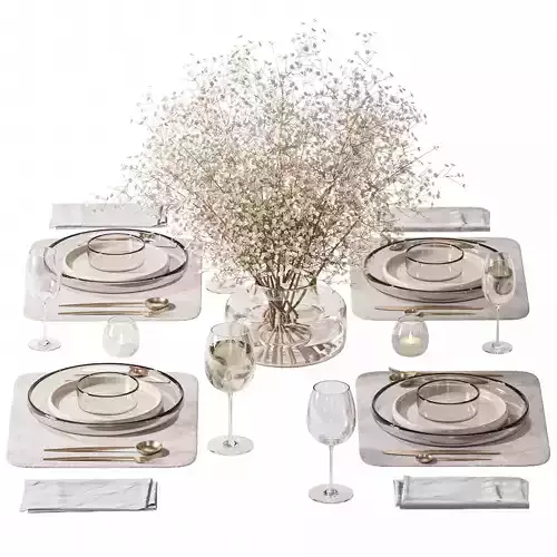 Table setting-H25