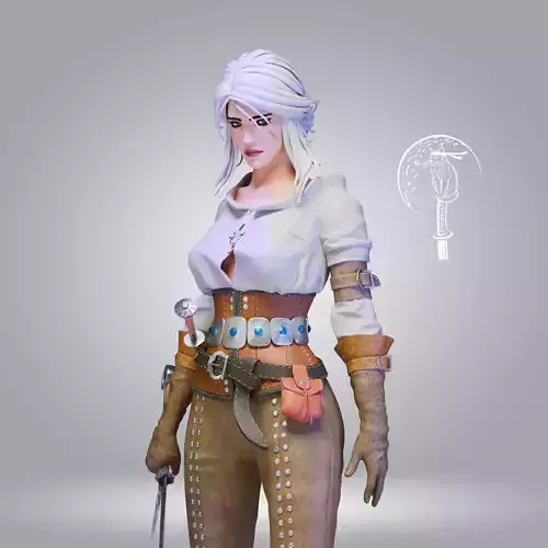 Ciri The Witcher 3 Wild Hunt NSFW Ready For 3D Printing 3D print model