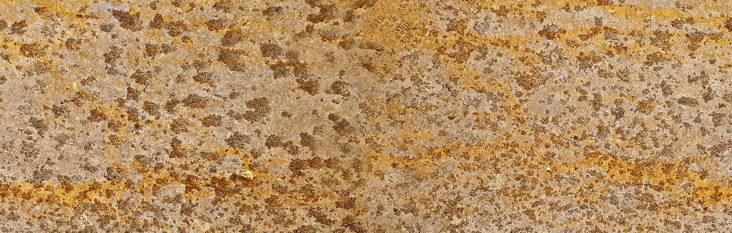 green plant 3D model_7