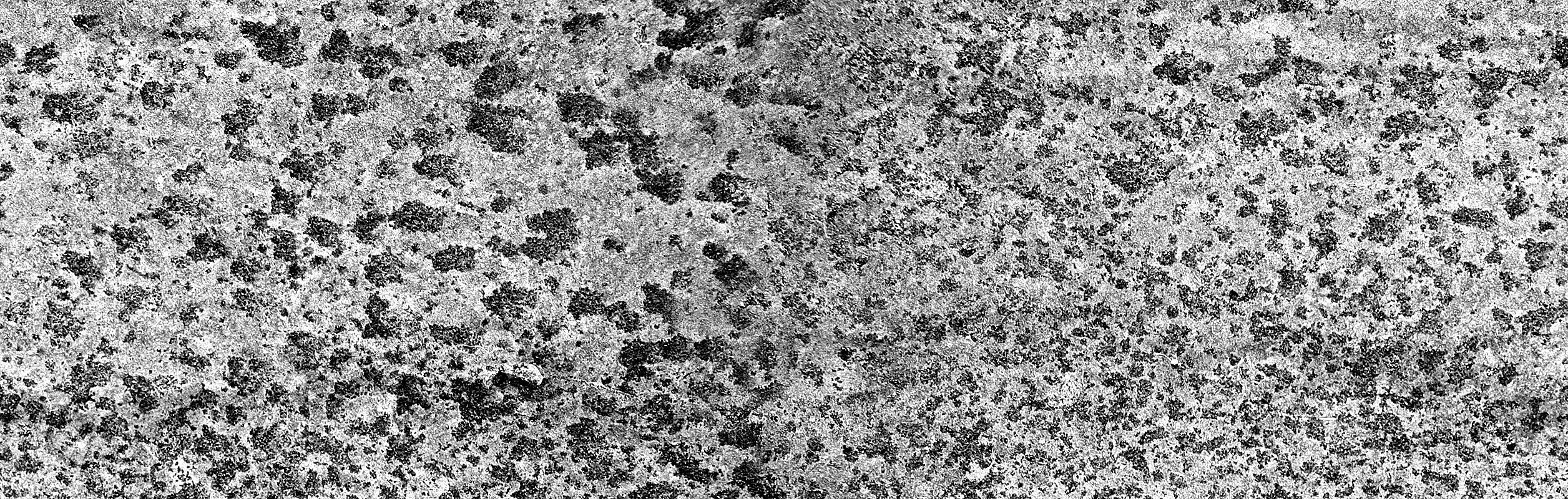 green plant 3D model_6