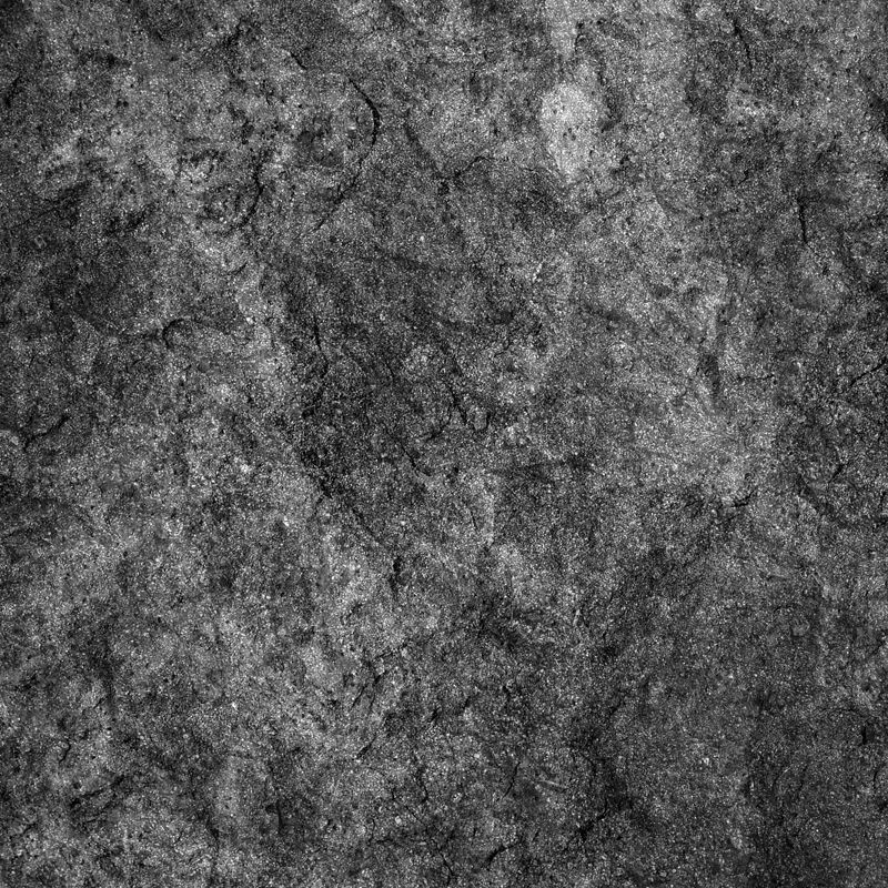 green plant 3D model_5