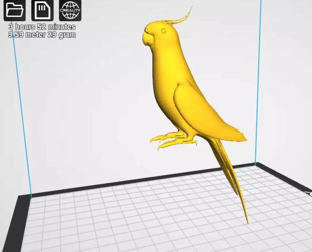 Cockatiel  3D print model_3