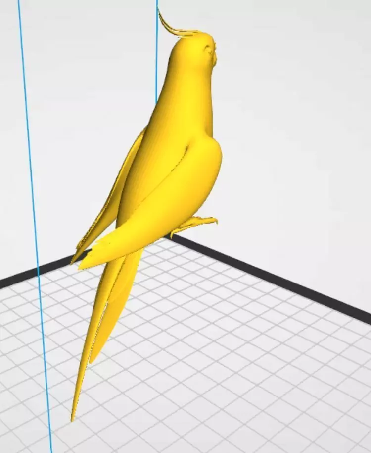Cockatiel  3D print model_2