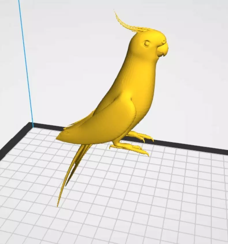 Cockatiel  3D print model_1