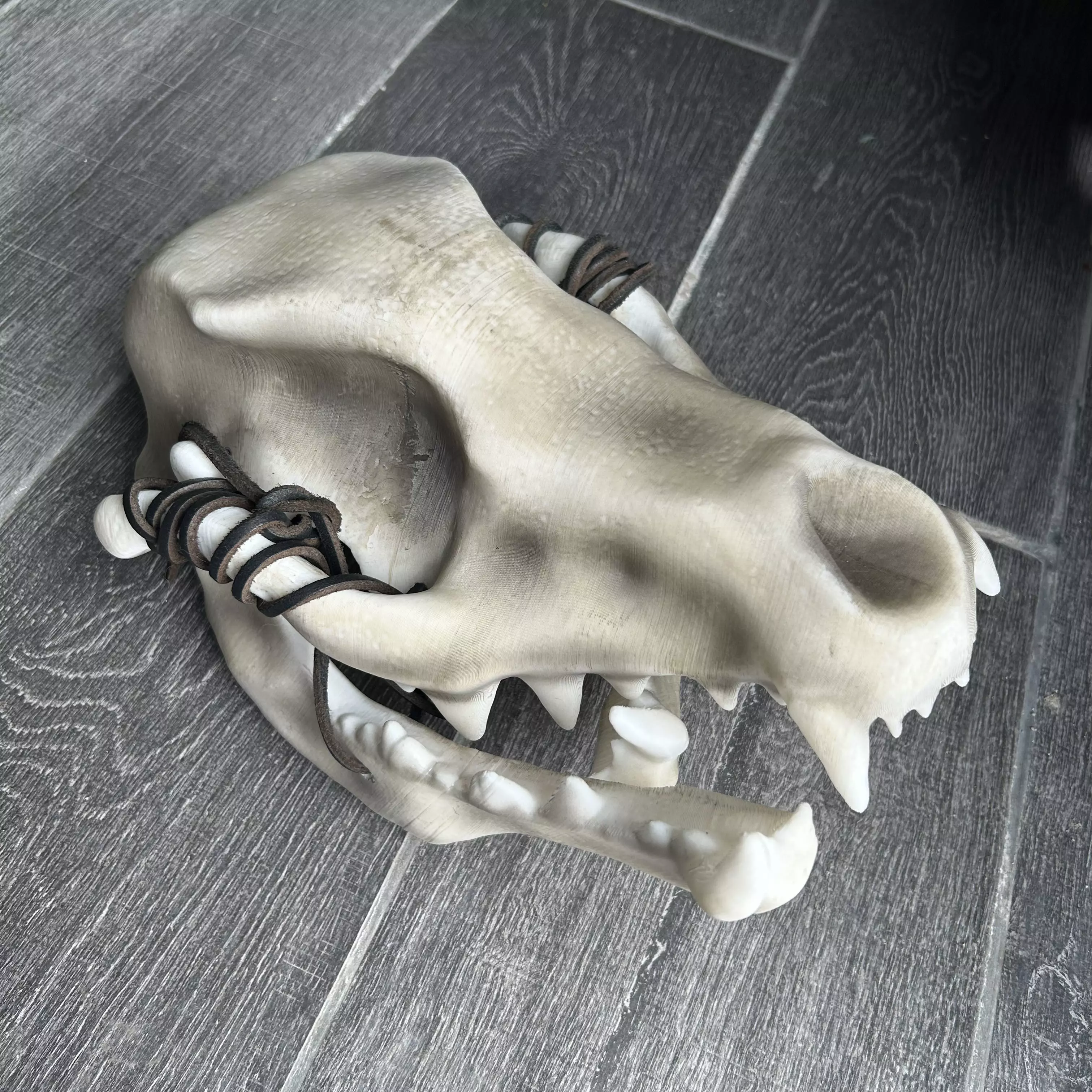 Wolf Skull Cosplay Headpiece 3D print model_1