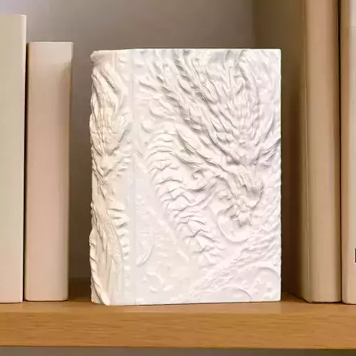 Dragon Book Nook Storage Box No Supports 3D print model