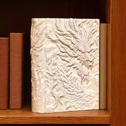 Dragon Book Nook Storage Box No Supports 3D print model