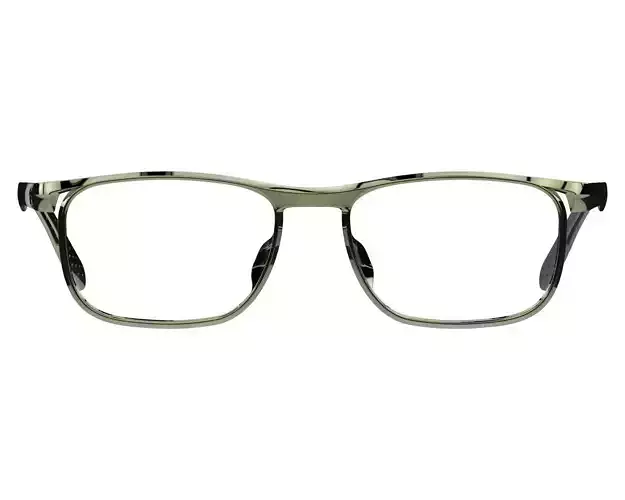 eyeglasses 3D print model