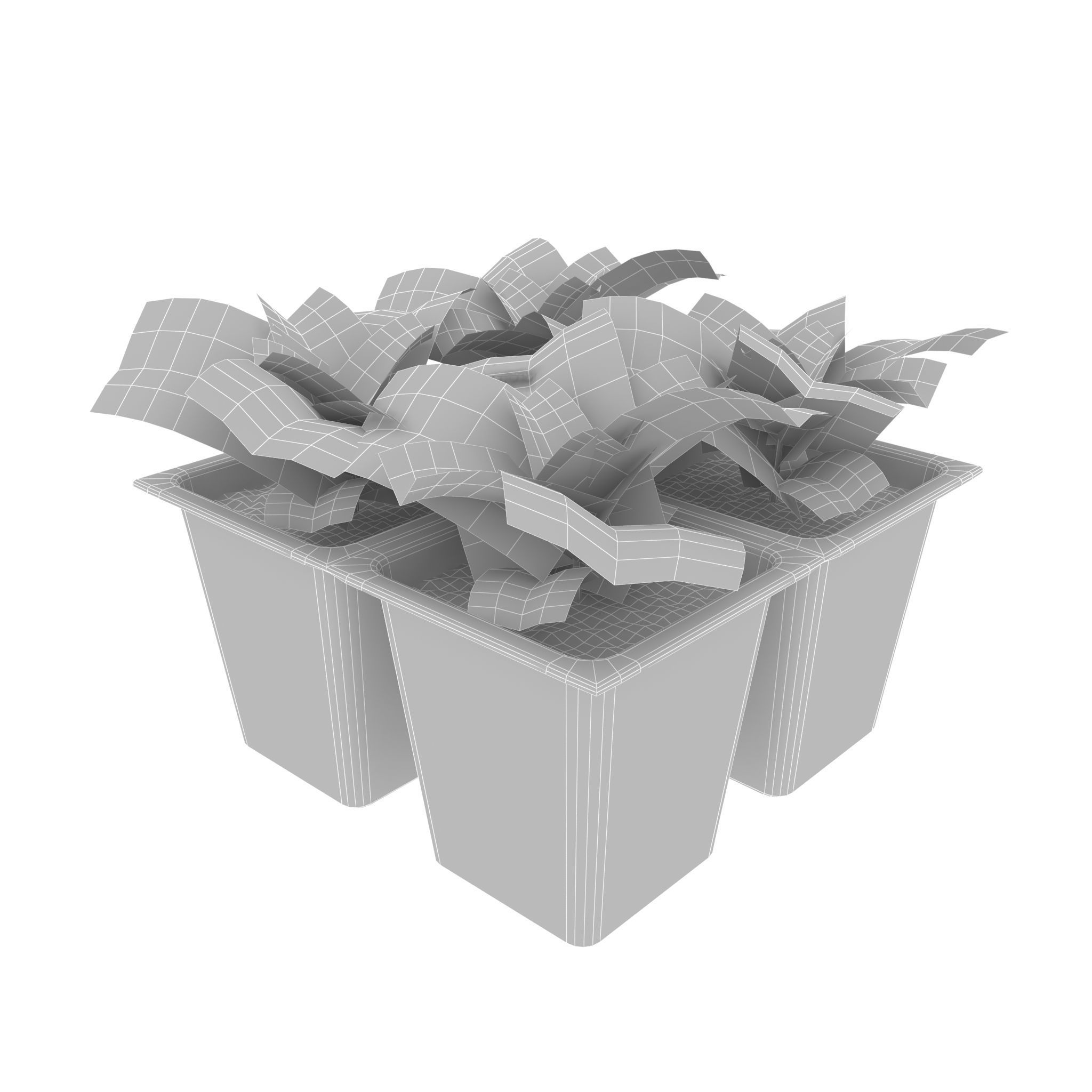 Seedlings of cabbage 3D model_10