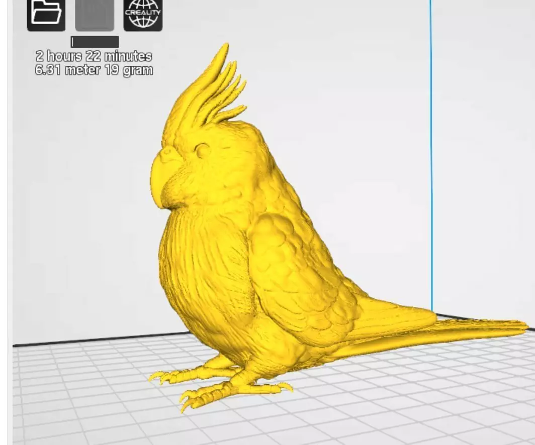 Cockatiel 3D print model_4