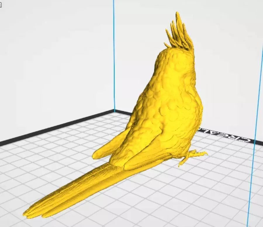 Cockatiel 3D print model_2