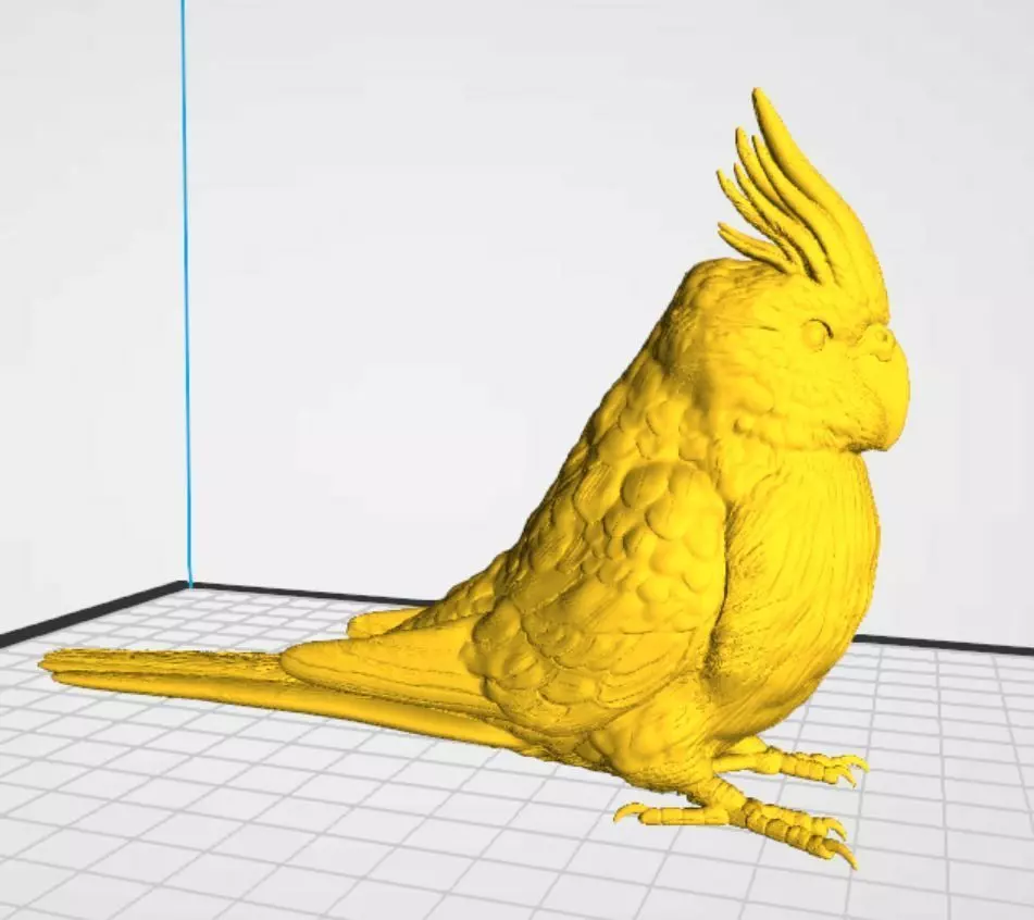 Cockatiel 3D print model_0