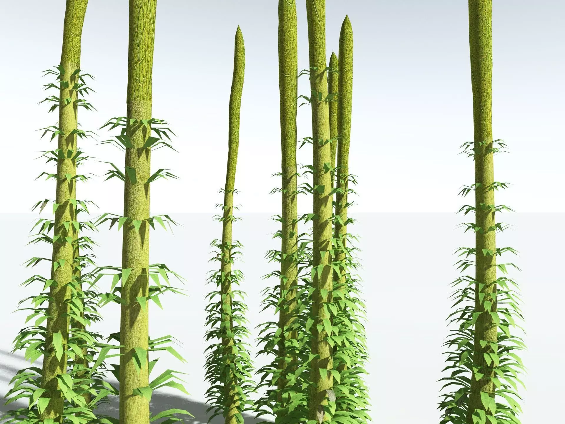 EVERYPlant Chaloneria Cormosa LowPoly Low-poly 3D model_1