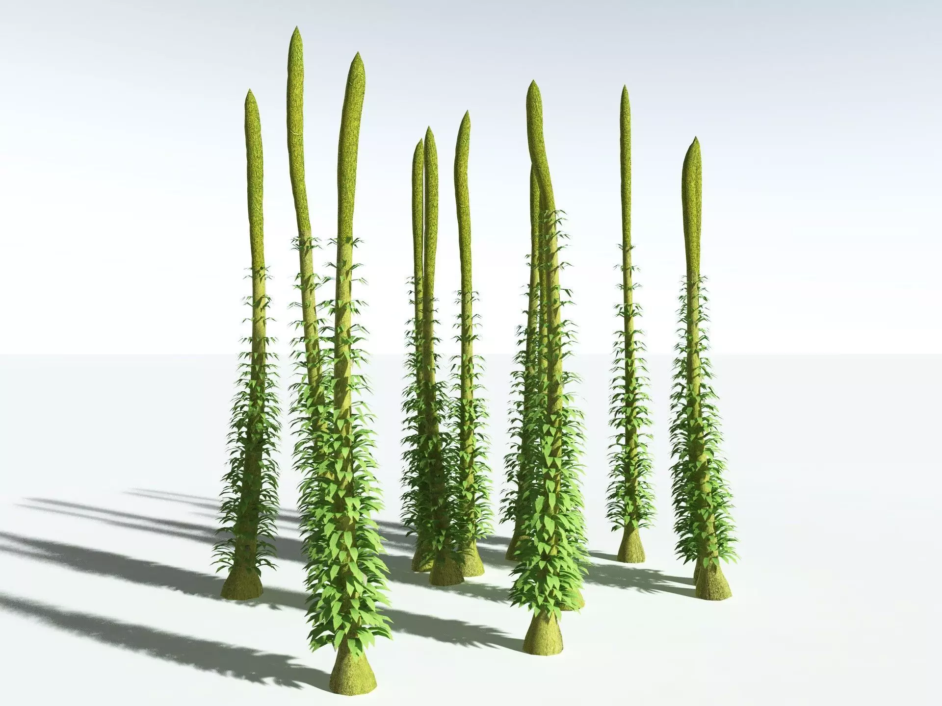 EVERYPlant Chaloneria Cormosa LowPoly Low-poly 3D model_6