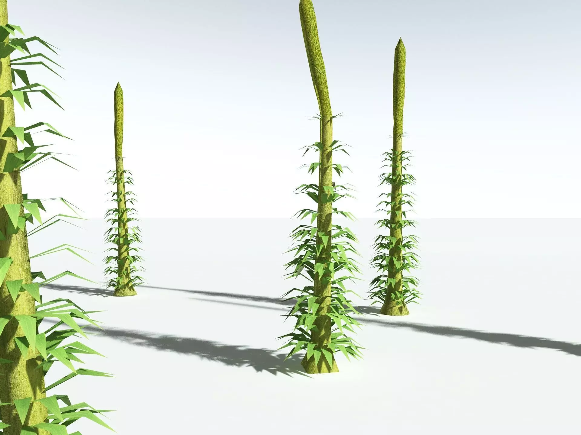EVERYPlant Chaloneria Cormosa LowPoly Low-poly 3D model_25