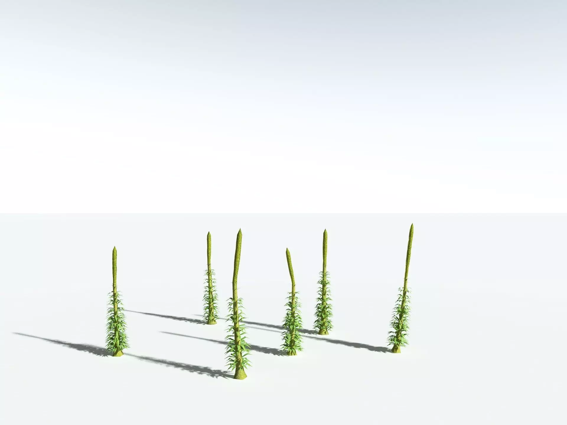 EVERYPlant Chaloneria Cormosa LowPoly Low-poly 3D model_24