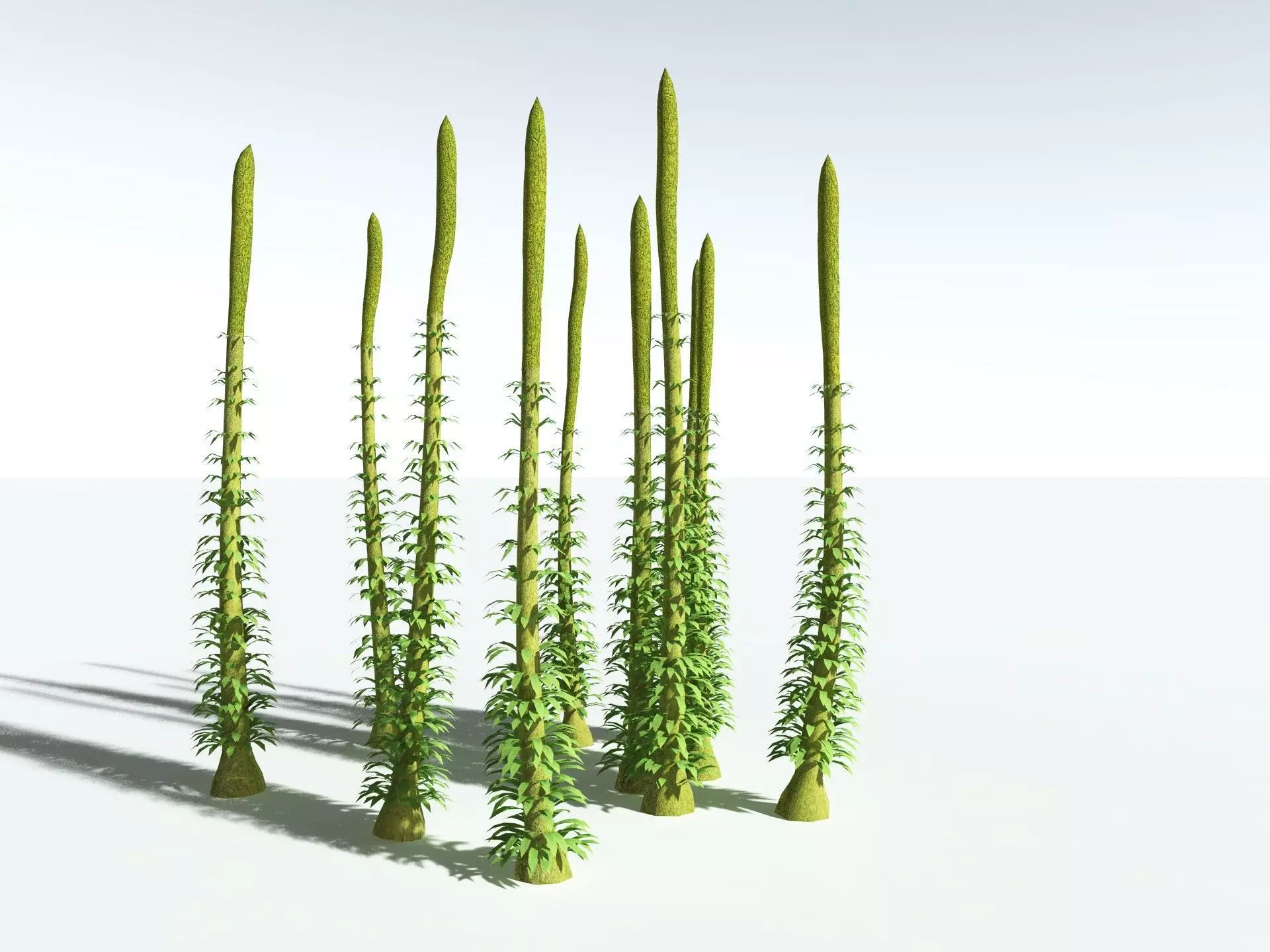 EVERYPlant Chaloneria Cormosa LowPoly Low-poly 3D model_10